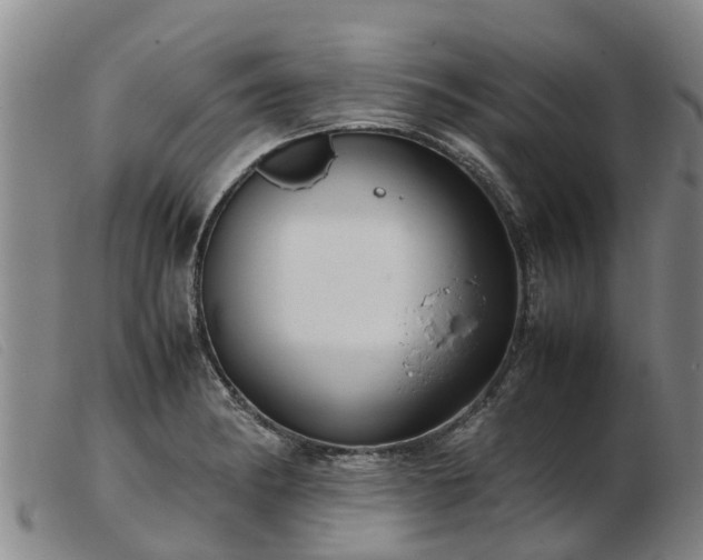 X0000103411182200809191538