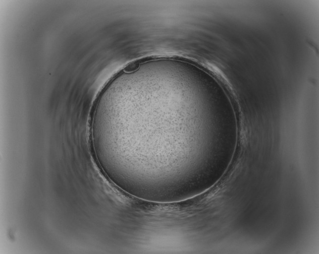 X0000103411183200809191538