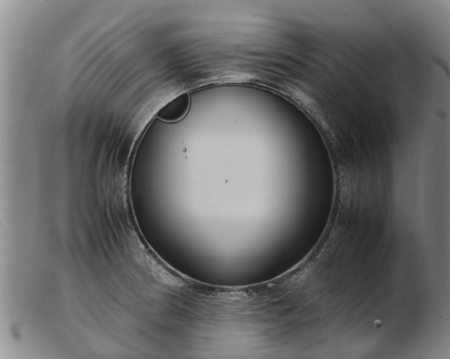 X0000103411186200809191538