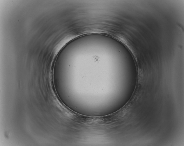 X0000103411187200809191538