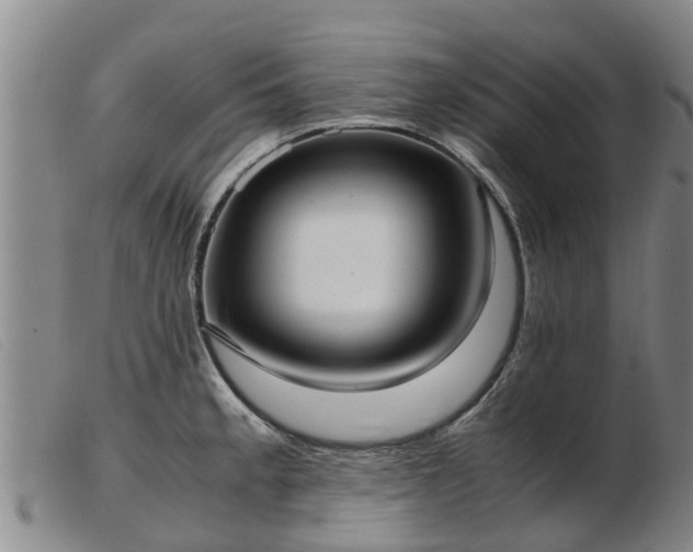 X0000103411189200809191538