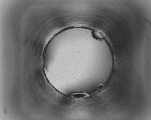 X0000103411191200809191538