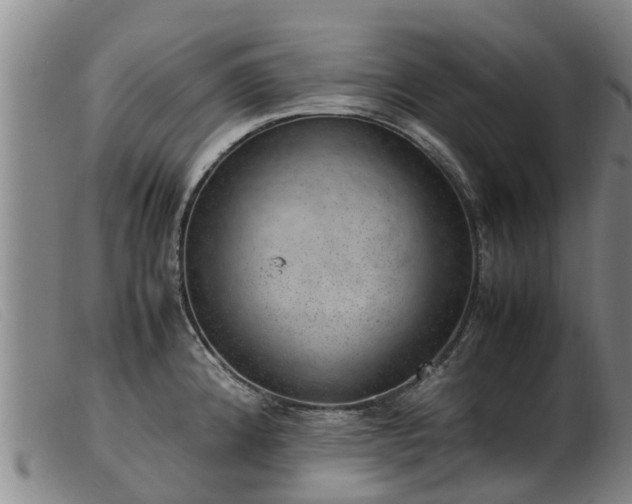 X0000103411192200809191538