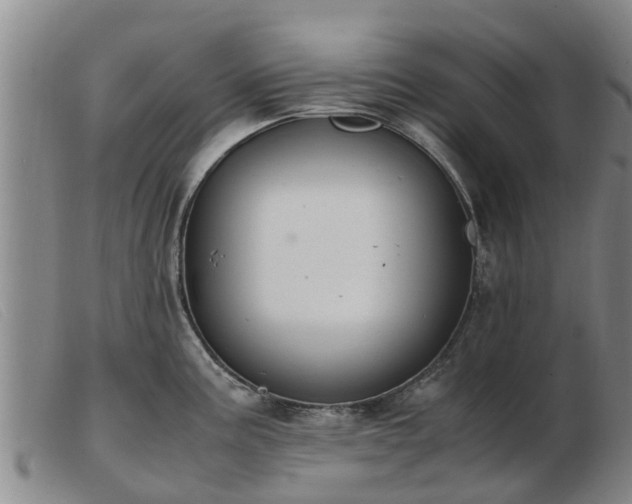 X0000103411195200809191538