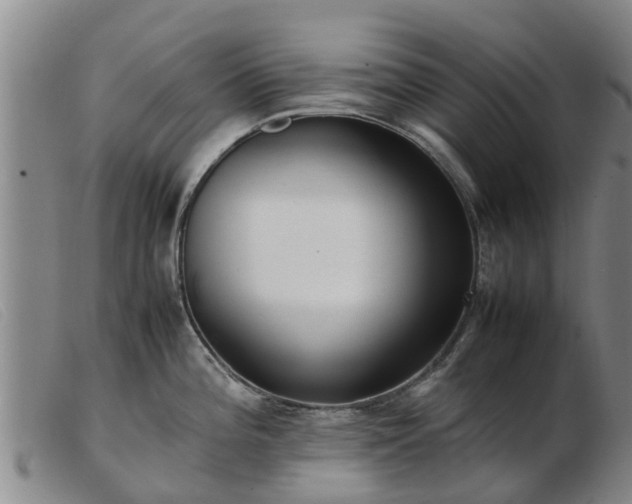 X0000103411196200809191538