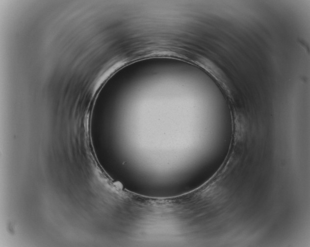 X0000103411198200809191538