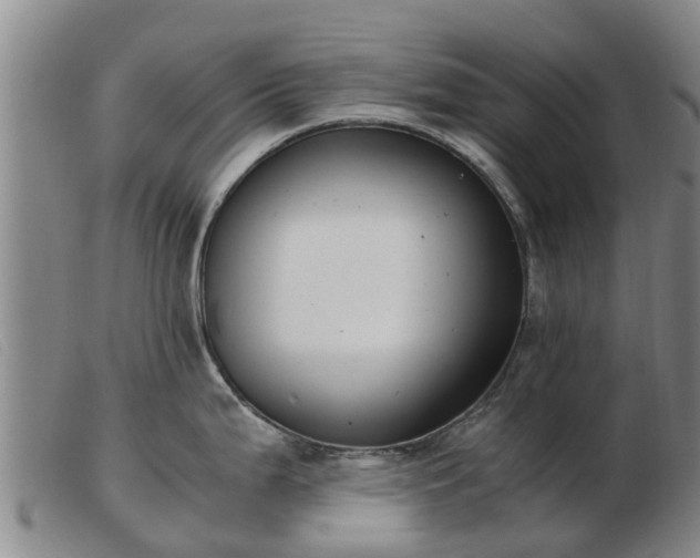 X0000103411199200809191538