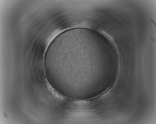 X0000103411200200809191538