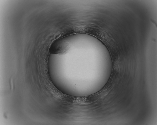 X0000103411201200809191537