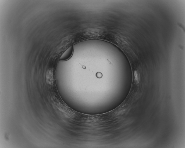 X0000103411203200809191537