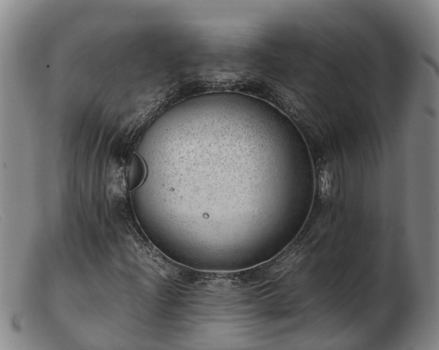 X0000103411204200809191537