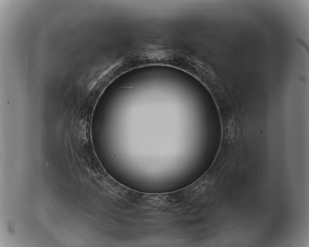 X0000103411205200809191537