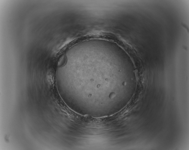 X0000103411206200809191537