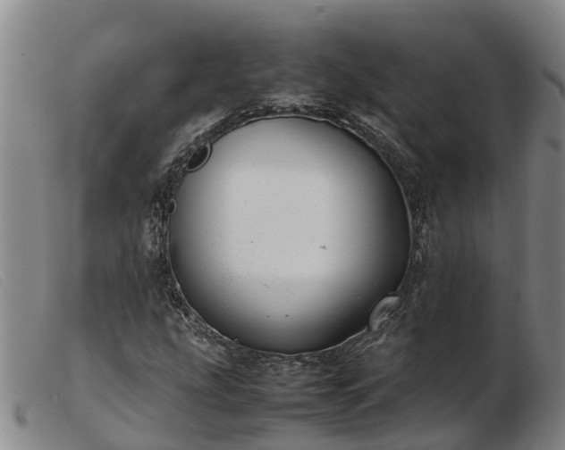 X0000103411207200809191537