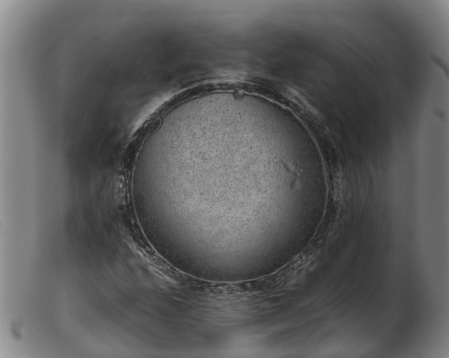 X0000103411208200809191537