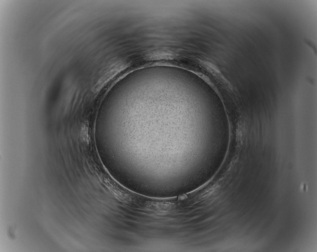 X0000103411209200809191537