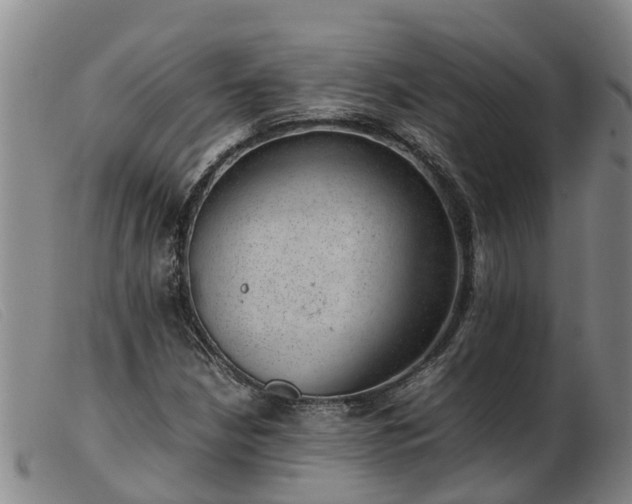 X0000103411210200809191537