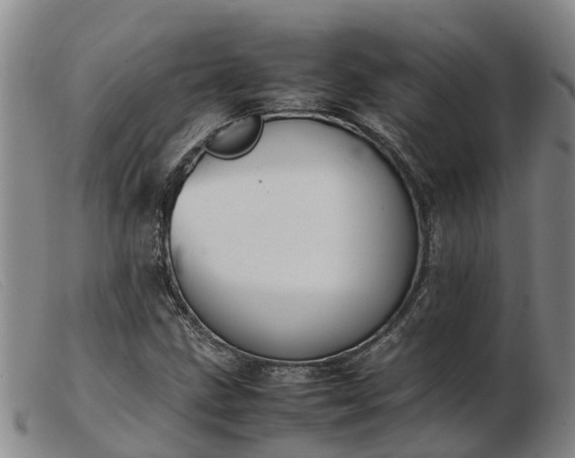 X0000103411211200809191537