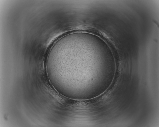 X0000103411214200809191537