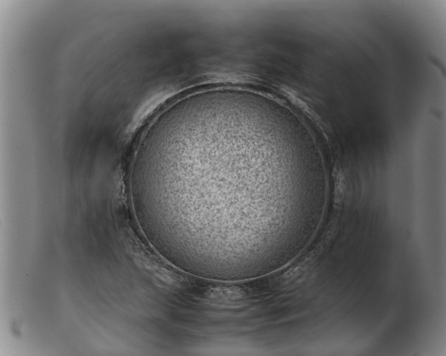 X0000103411215200809191537