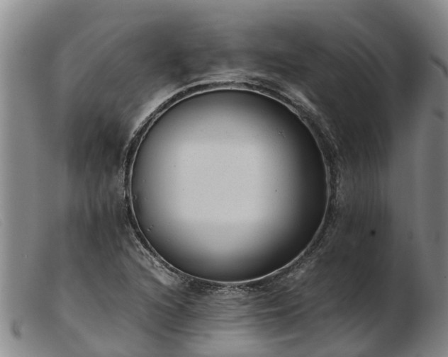 X0000103411216200809191537