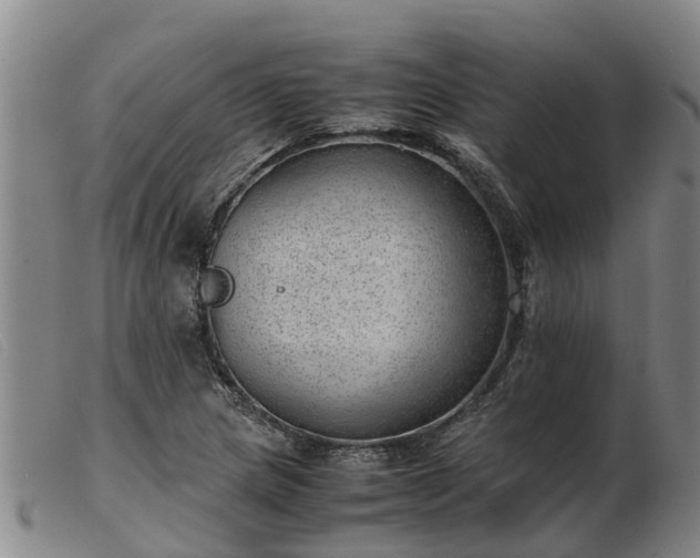 X0000103411217200809191537