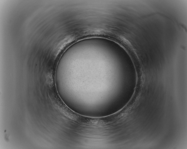 X0000103411218200809191537