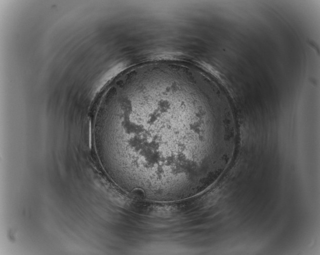 X0000103411219200809191537