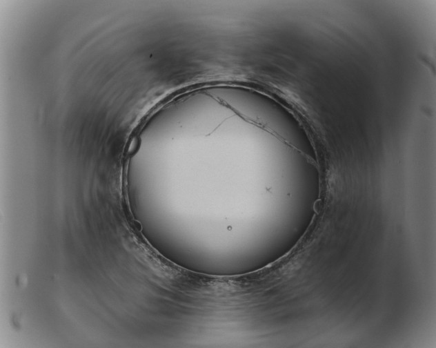 X0000103411220200809191537