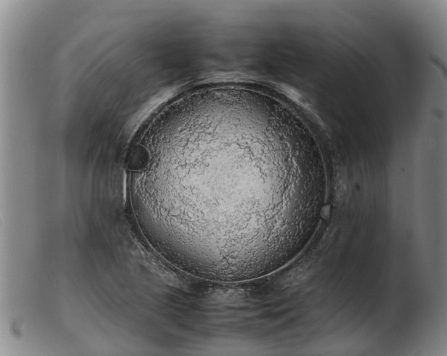 X0000103411221200809191537