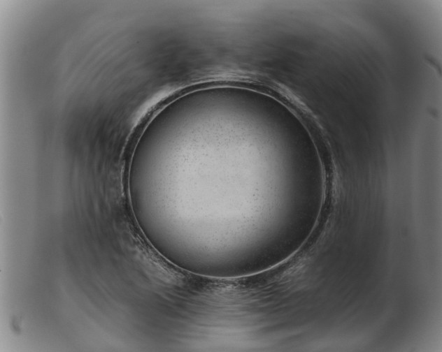 X0000103411222200809191537