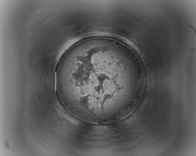 X0000103411223200809191537