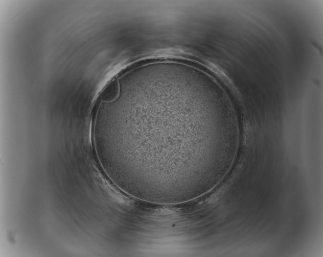 X0000103411224200809191537