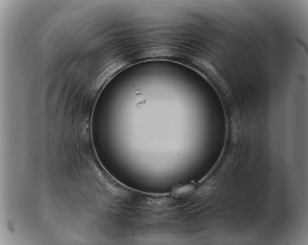 X0000103411225200809191537