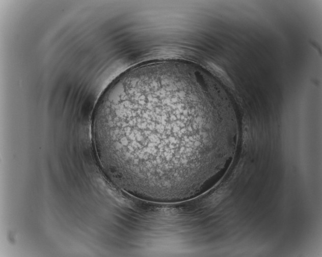 X0000103411226200809191537