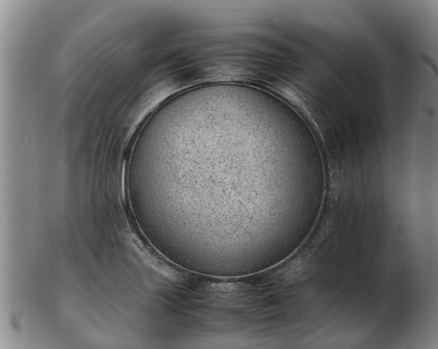 X0000103411227200809191537