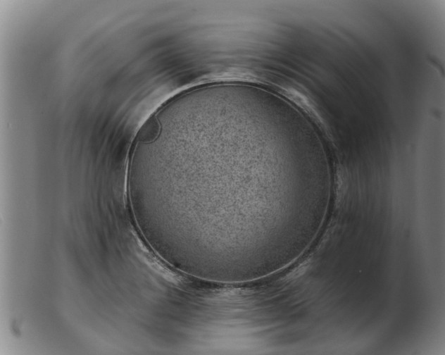 X0000103411228200809191537