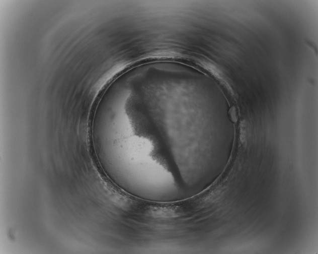 X0000103411229200809191537