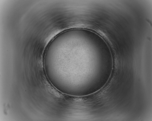 X0000103411230200809191537