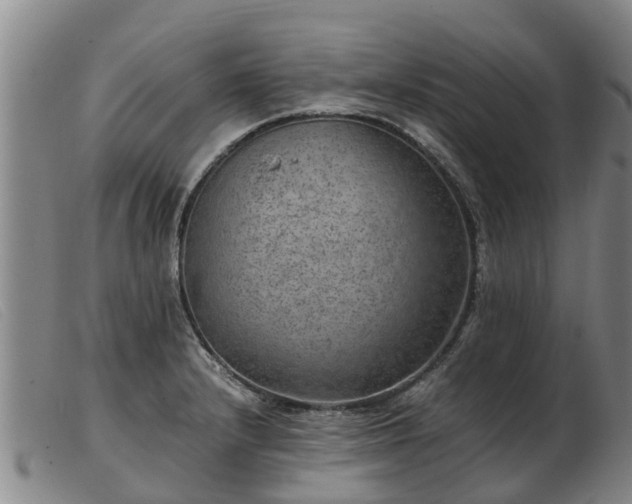 X0000103411232200809191537