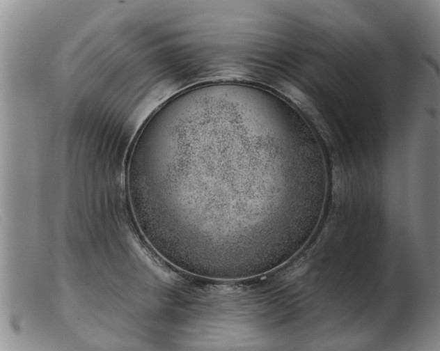 X0000103411234200809191537