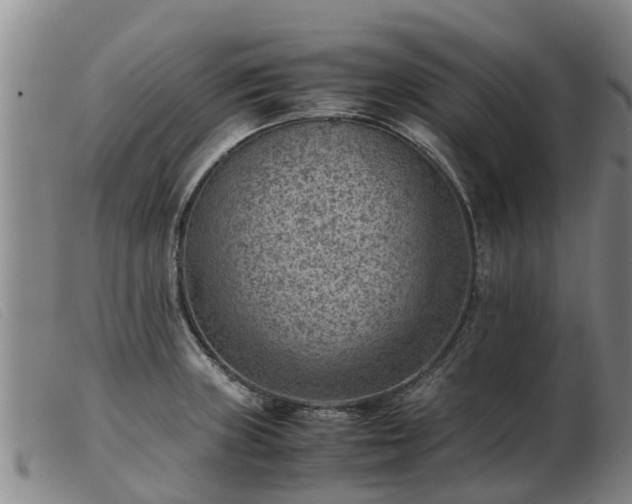 X0000103411235200809191537