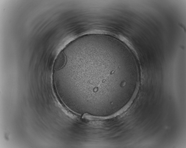 X0000103411237200809191537