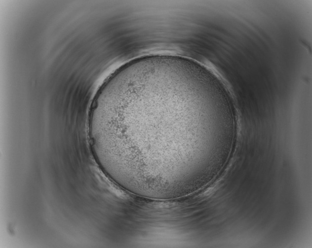 X0000103411240200809191538