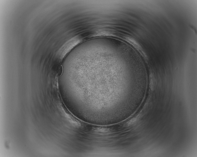 X0000103411241200809191538