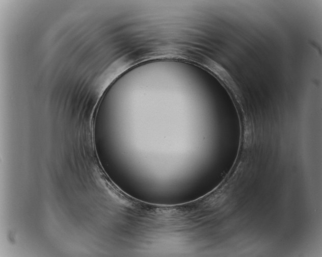 X0000103411242200809191538