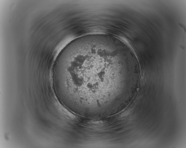 X0000103411243200809191538