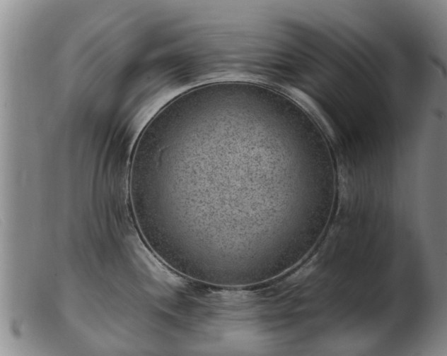 X0000103411244200809191538