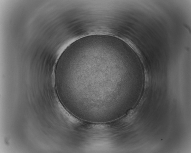 X0000103411246200809191538