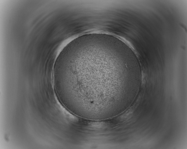 X0000103411247200809191538